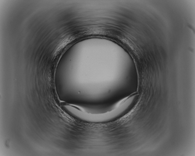 X0000097830922200804041418