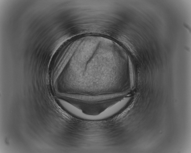 X0000097830924200804041418