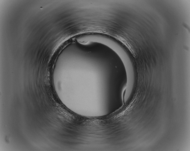 X0000097830926200804041418