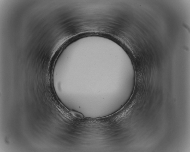 X0000097830927200804041418