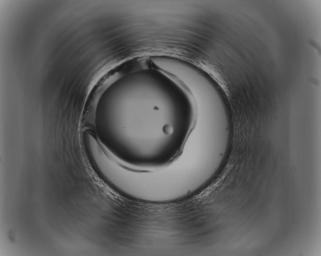 X0000097830928200804041418