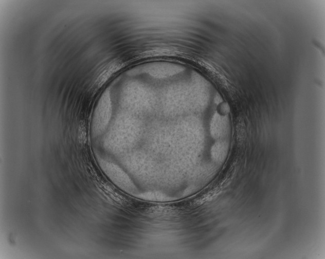 X0000097830929200804041418