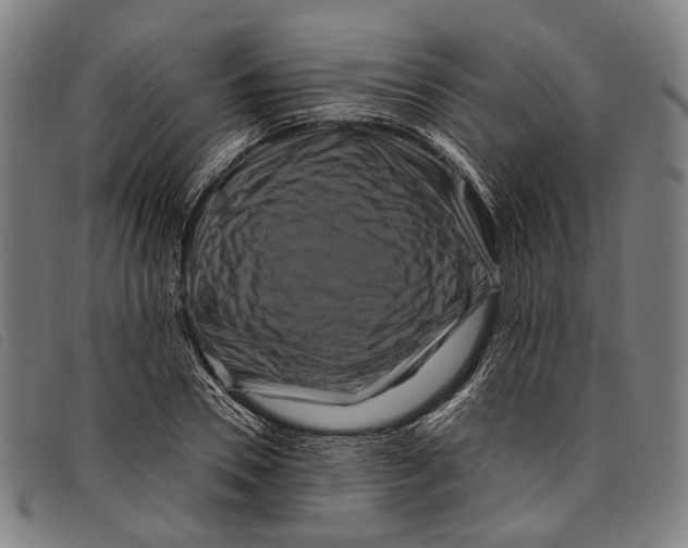 X0000097830930200804041418