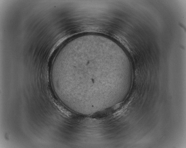 X0000097830931200804041418