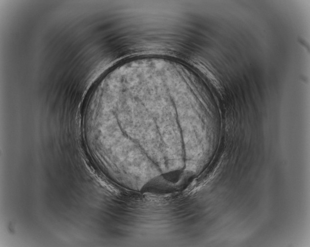 X0000097830933200804041418