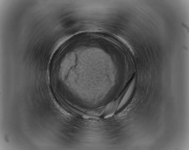 X0000097830935200804041418