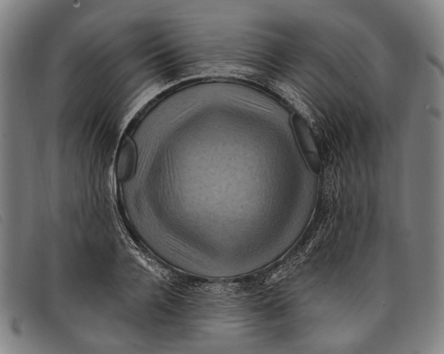 X0000097830936200804041418