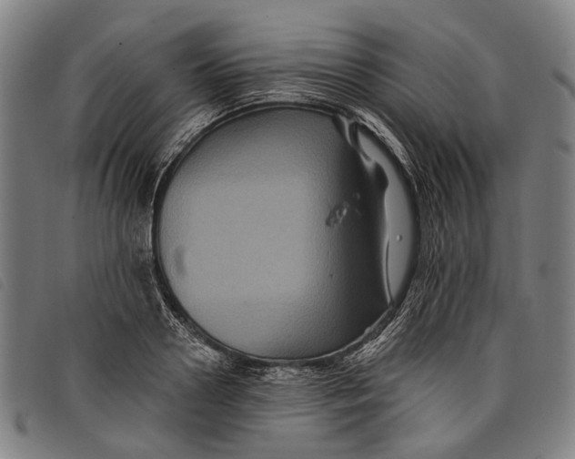 X0000097830938200804041418