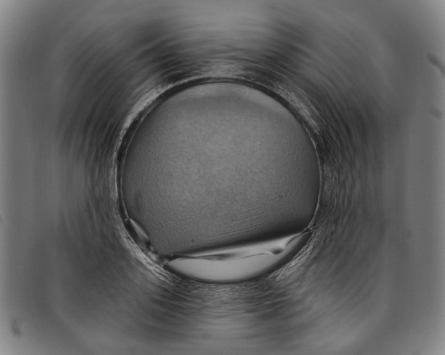 X0000097830939200804041418