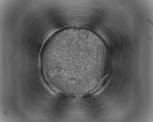 X0000097830940200804041418