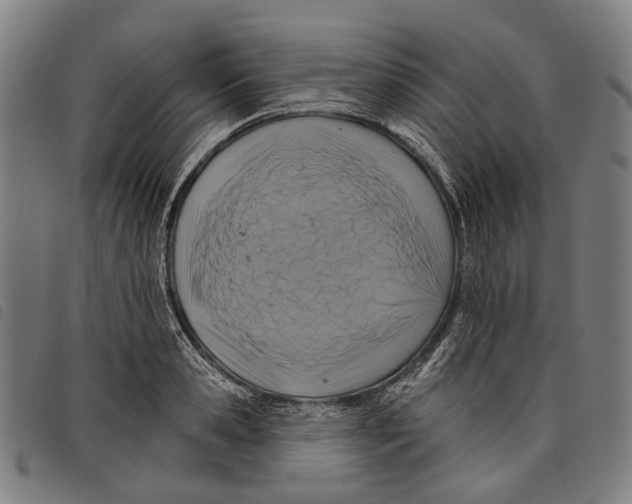 X0000097830941200804041418