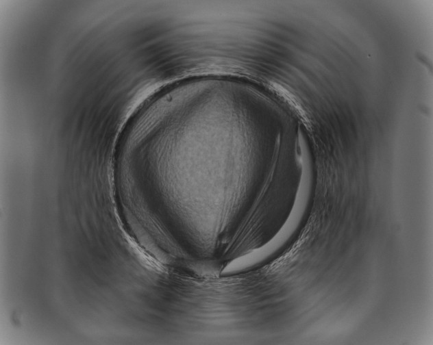 X0000097830942200804041418