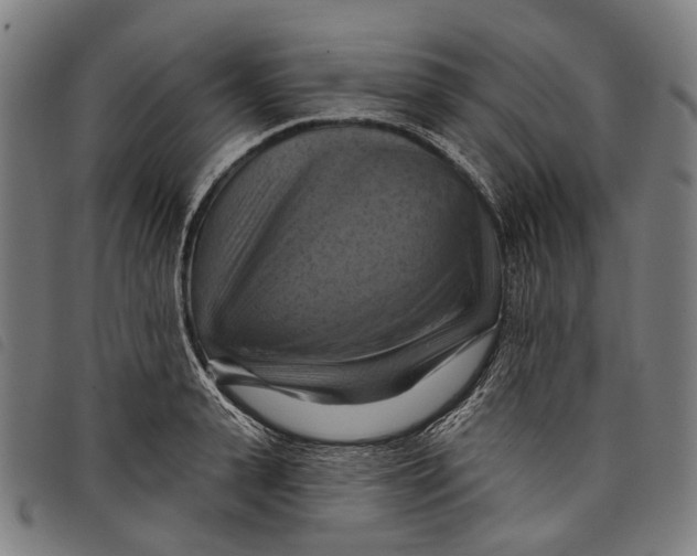 X0000097830943200804041418