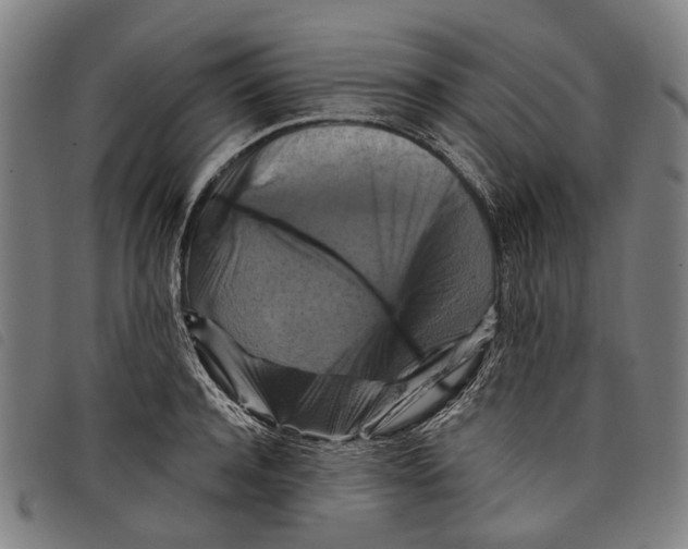 X0000097830944200804041418