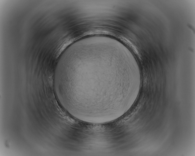 X0000097830945200804041418