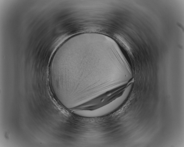 X0000097830948200804041418