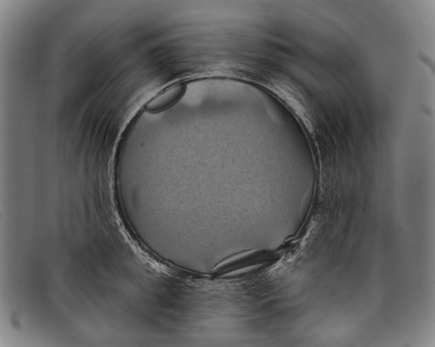 X0000097830949200804041418