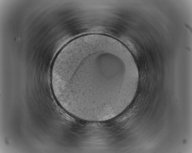 X0000097830950200804041418