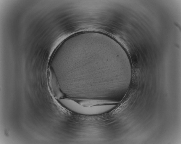 X0000097830951200804041418