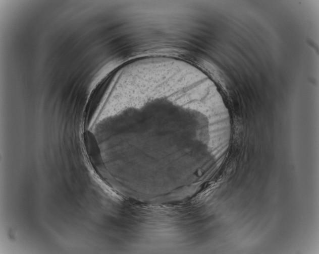 X0000097830952200804041418