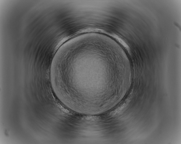 X0000097830953200804041418