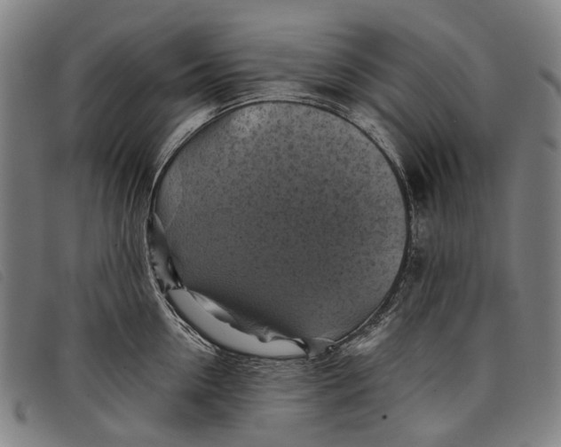 X0000097830954200804041418