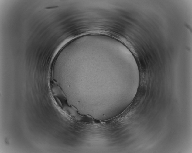 X0000097830955200804041418