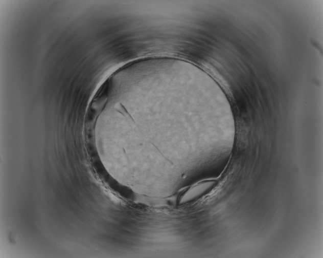 X0000097830956200804041418