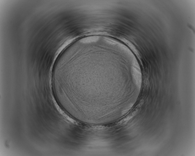 X0000097830957200804041418