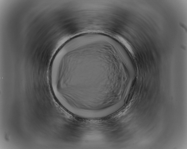 X0000097830958200804041418