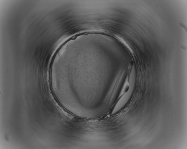 X0000097830959200804041418