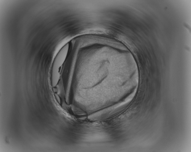 X0000097830960200804041418