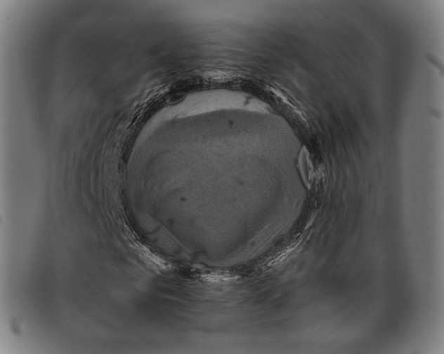 X0000097830961200804041418