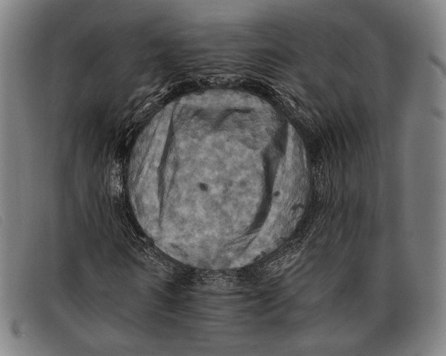 X0000097830962200804041418