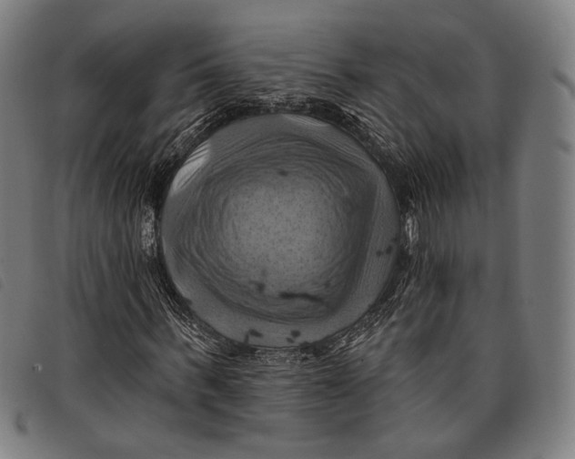 X0000097830963200804041418