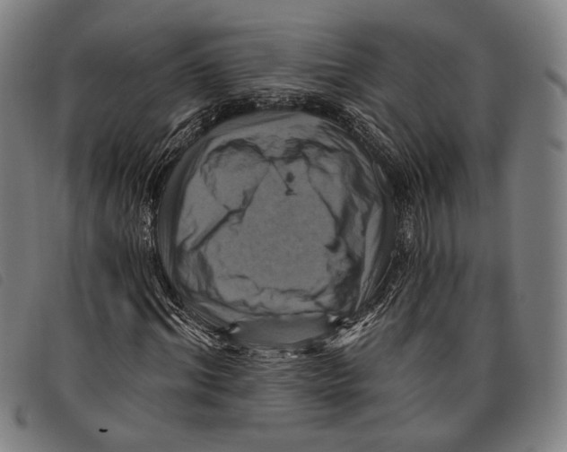 X0000097830964200804041418