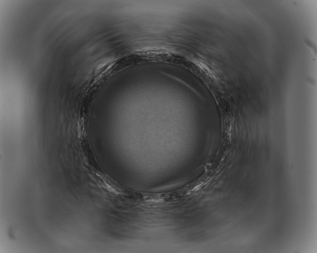 X0000097830965200804041418