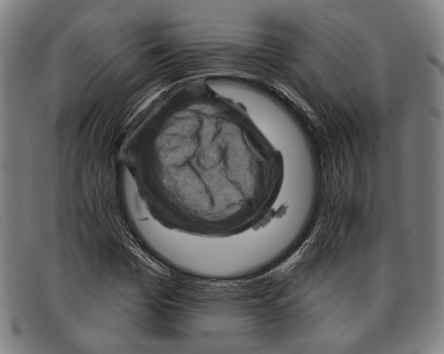 X0000097830969200804041418