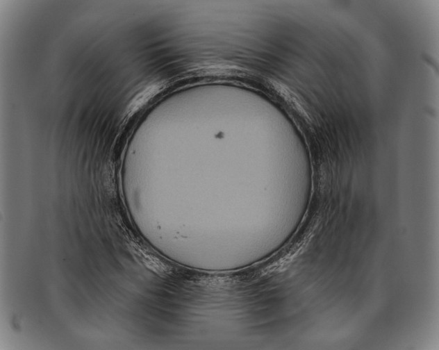 X0000097830970200804041418