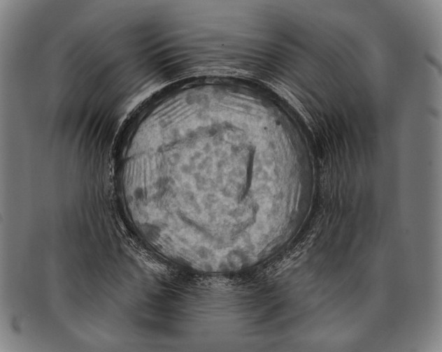 X0000097830971200804041418