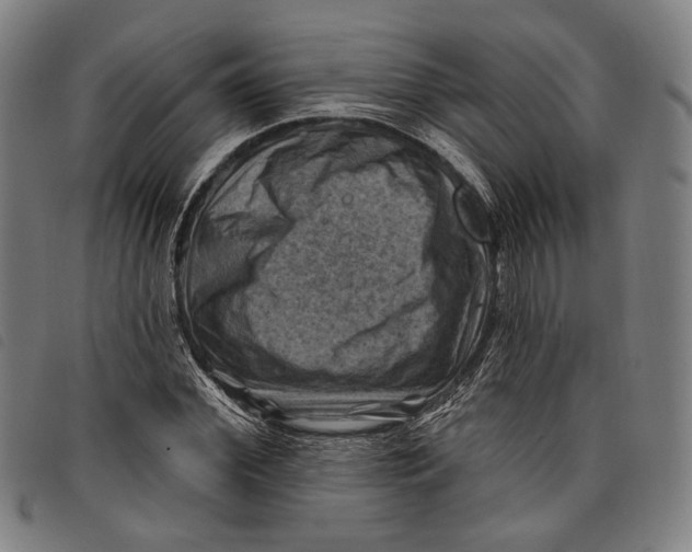 X0000097830972200804041418