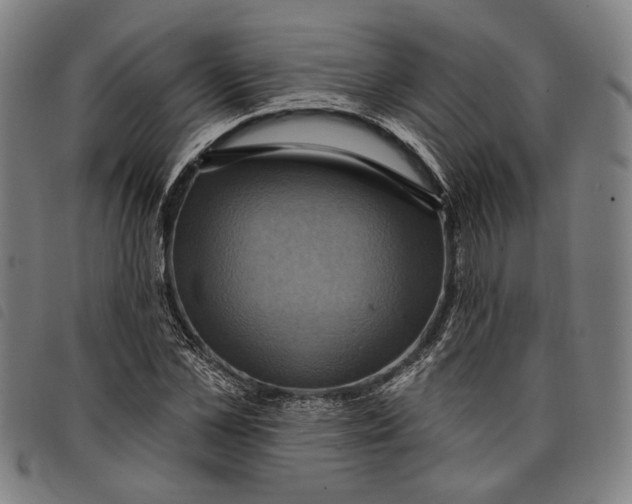 X0000097830973200804041418