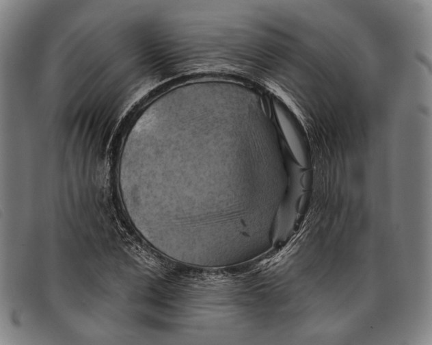 X0000097830975200804041417