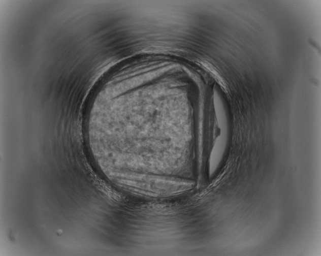 X0000097830976200804041417