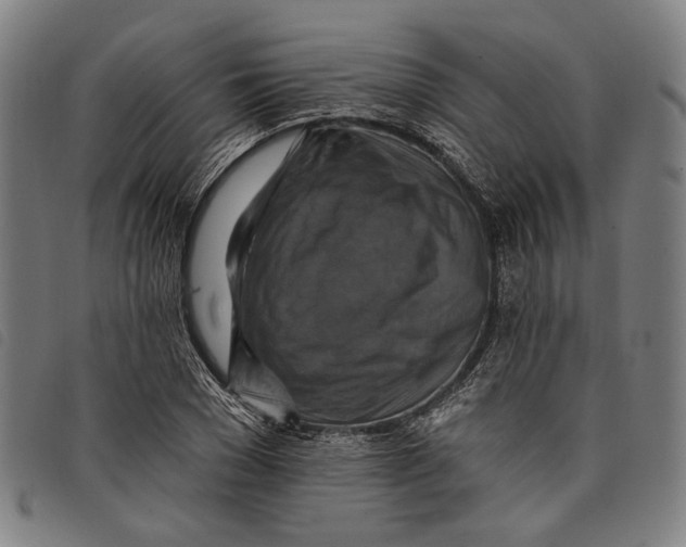 X0000097830977200804041417