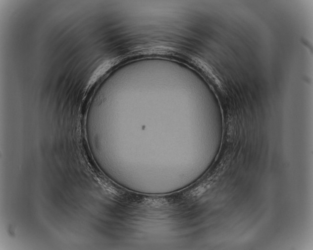 X0000097830978200804041417