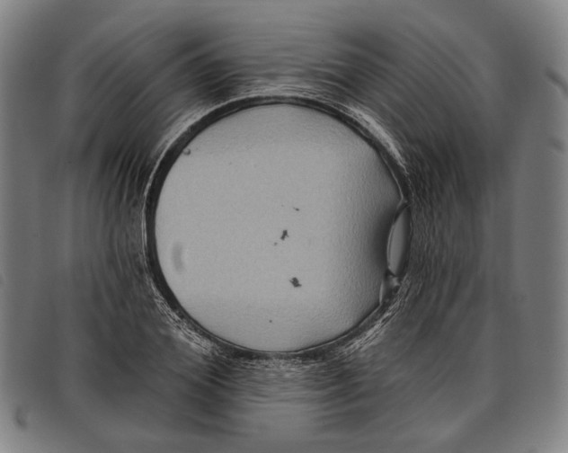 X0000097830980200804041417