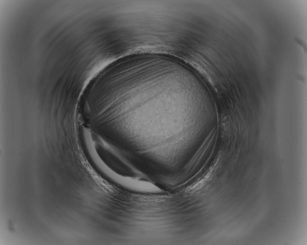 X0000097830981200804041417