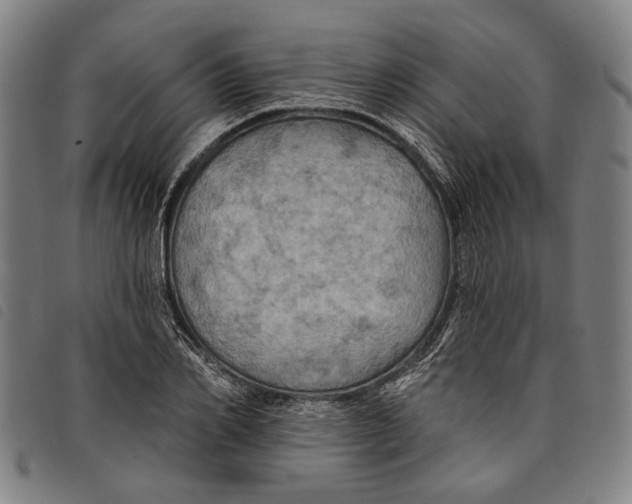 X0000097830982200804041417