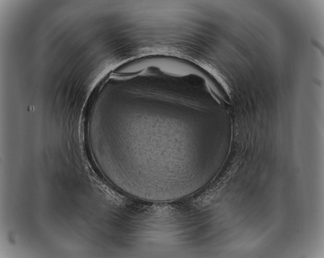 X0000097830983200804041417